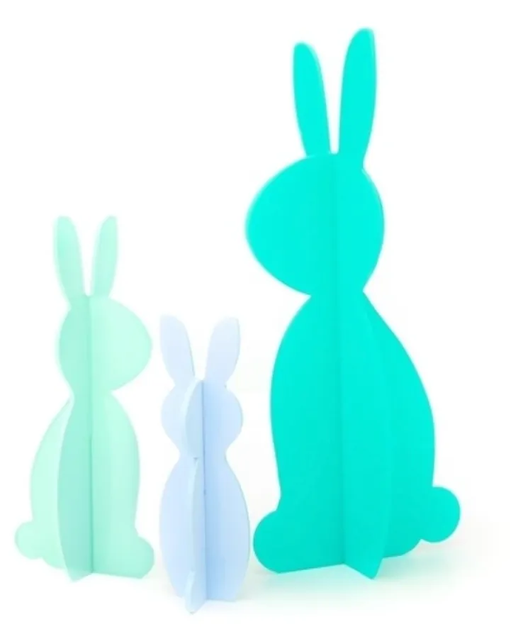 Acrylic Bunny Sets