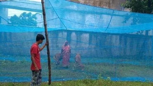 DIVAYANSHI Anaya Retailers HDPE Animal Mosquito Net for Cow/Buffalo (Multicolour; 25 x 15 x 10 ft)